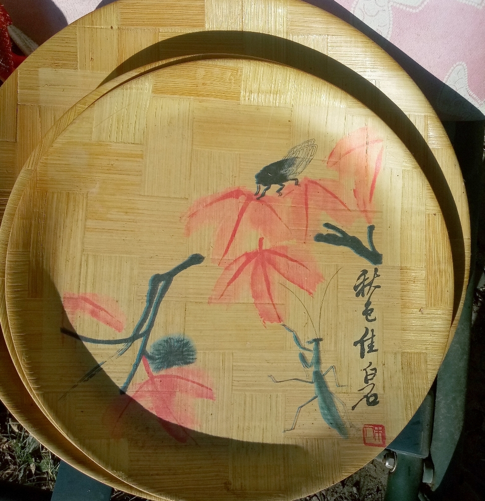Bamboo plates
